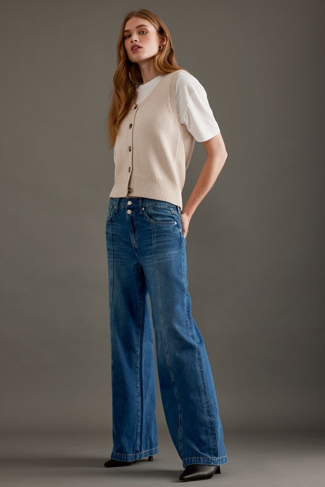 Jeans Palazzo Pistola Jadyn a Vita Bassa #2