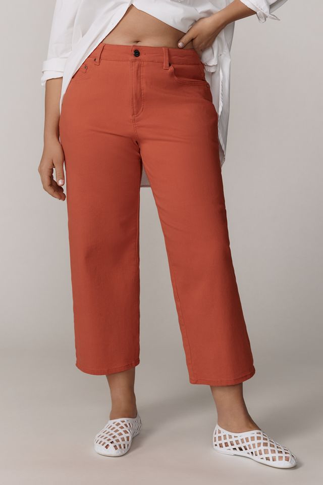 Universal Standard Plus Bae Boyfriend Crop Jeans #1