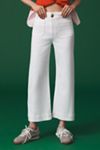 The Denim Colette Cropped Wide-Leg Jeans