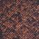 Brown Snake