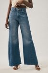 Frame Le Baggy Palazzo Jeans | Anthropologie
