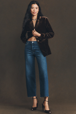 Frame Slim Velvet Blazer In Espresso In Blue