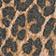 Leopardo