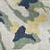 Ivory Pattern