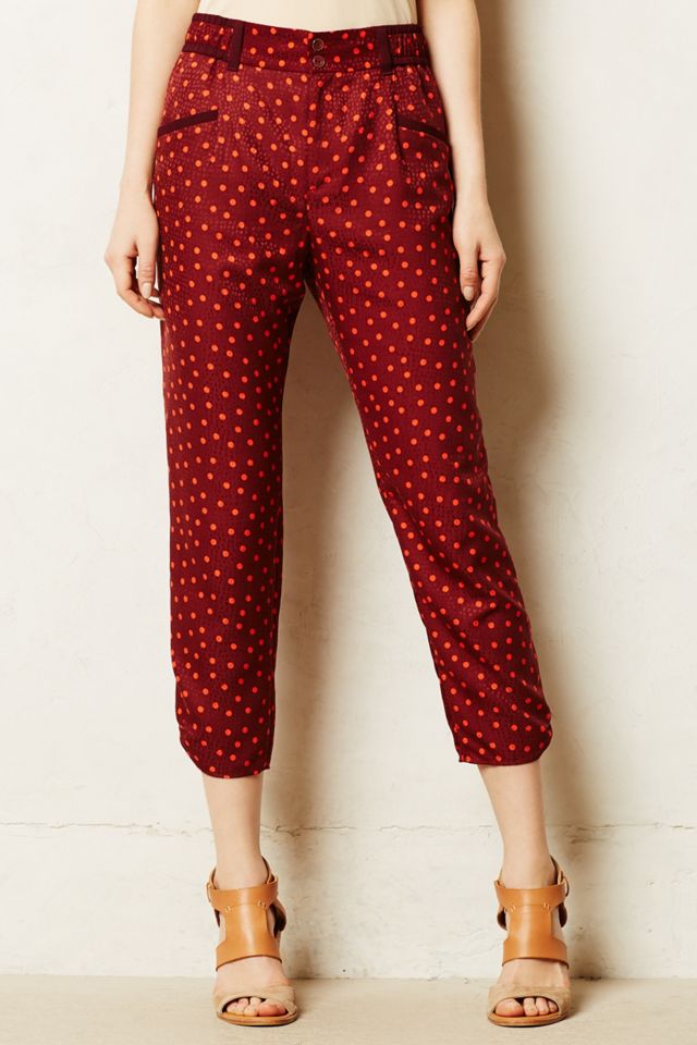 Dapple Trousers  #1