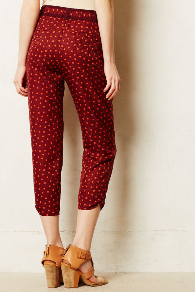 Dapple Trousers  #2