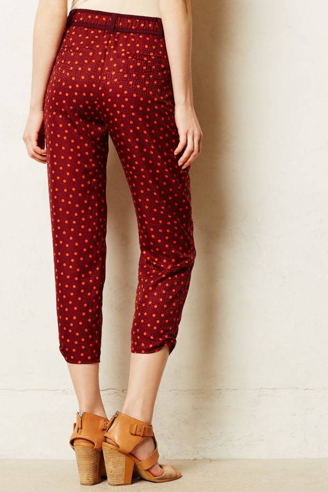 Dapple Trousers  #3