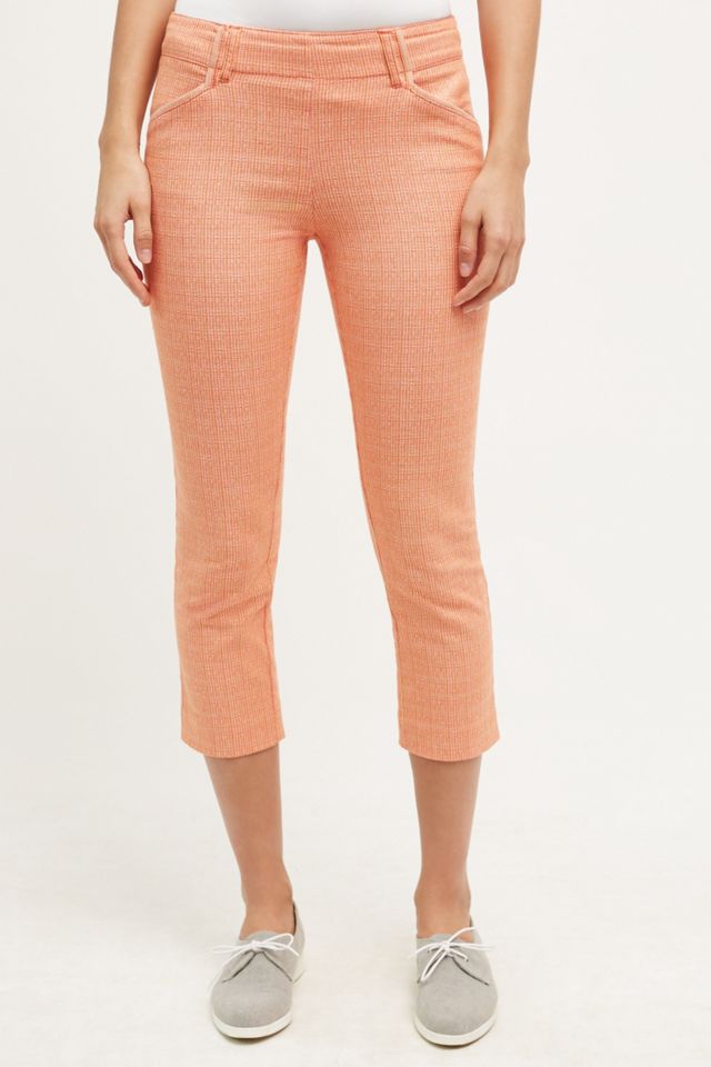 Striped Charlie Crops #1