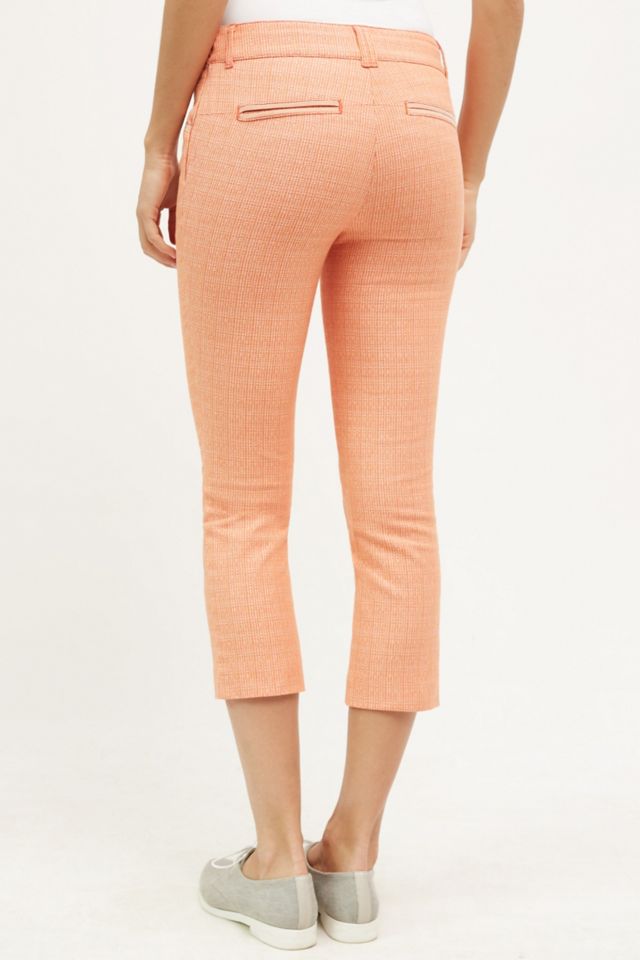 Striped Charlie Crops #2