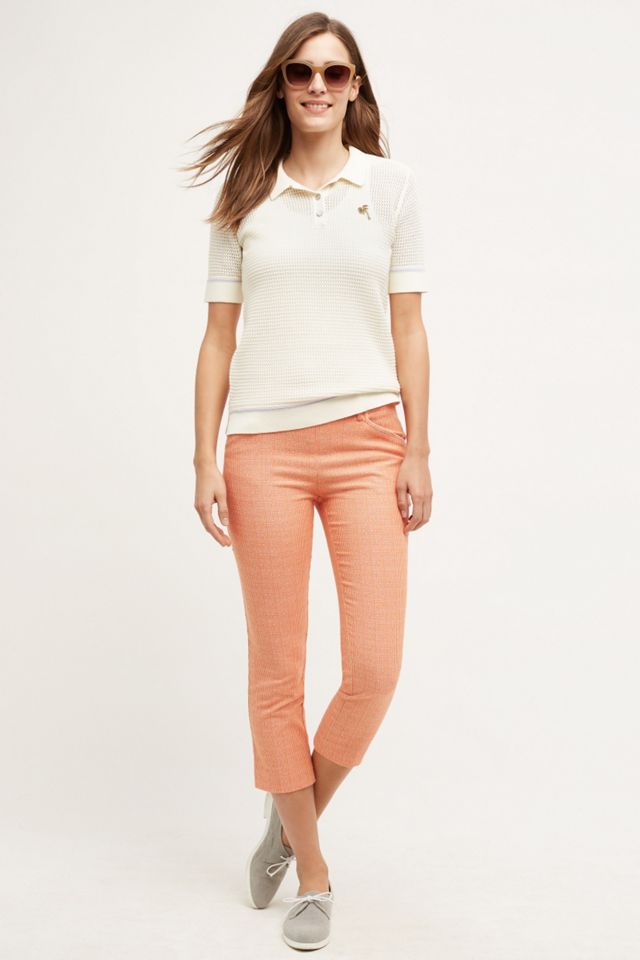 Striped Charlie Crops
