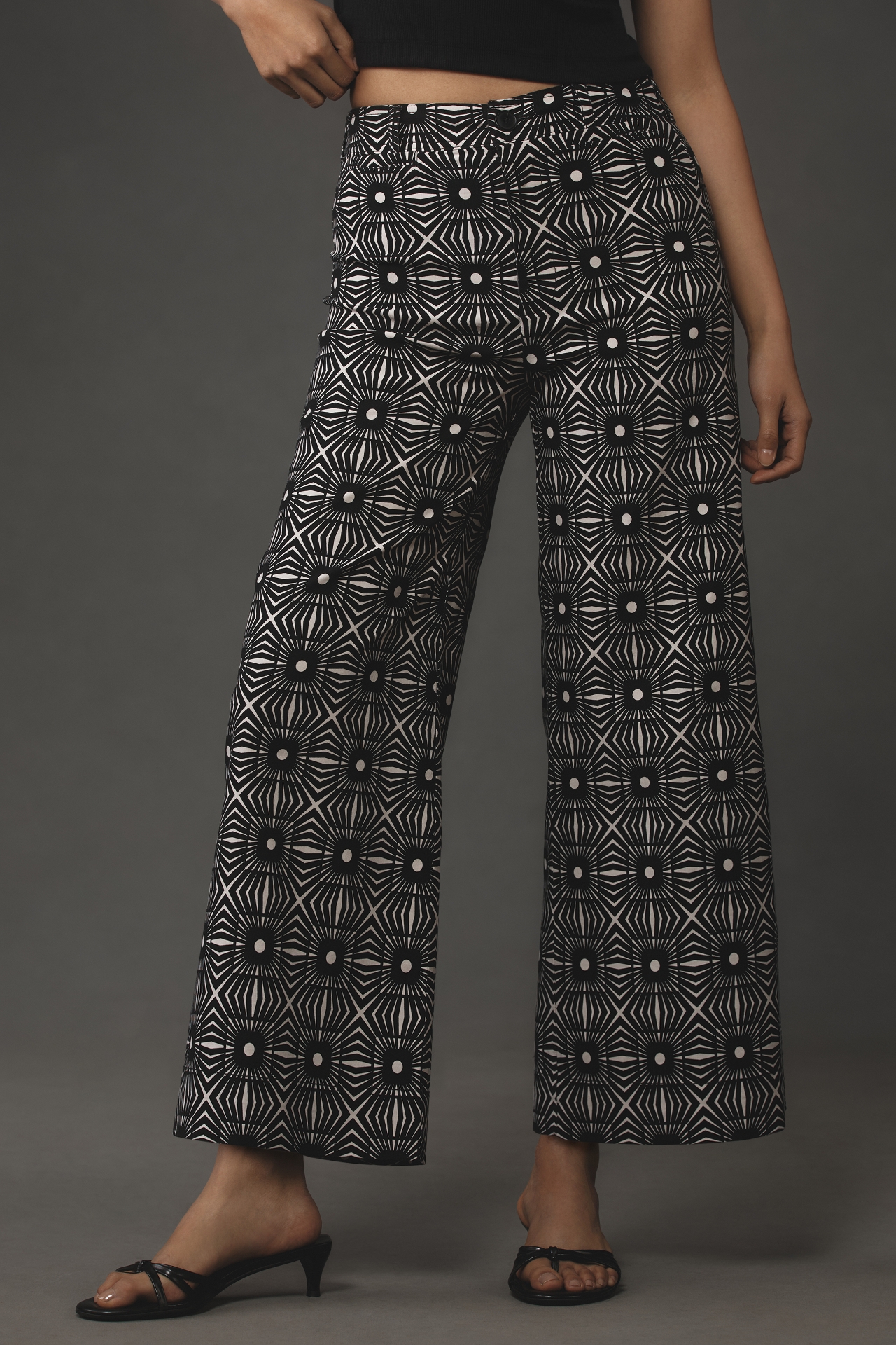 The Ettie High-Rise Crop Wide-Leg Pants by Maeve: Printed Edition