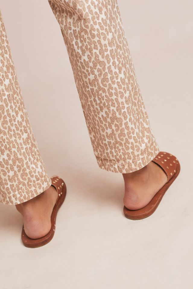 Wanderer Utility Pants #5