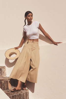 Astr Rowen Pleated Culotte Pants In Beige