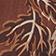 Brown Pattern