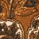 Brown Pattern