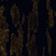 BLACK MOTIF