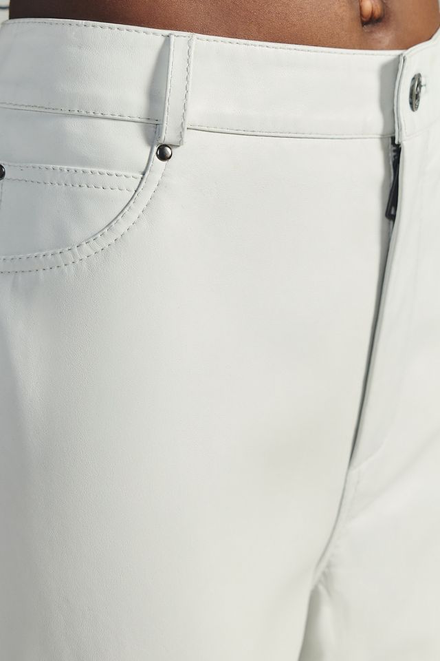 Walter Baker Venice Pants #2