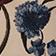 Botanical Pattern