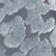 Grey Pattern