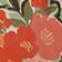 Botanical Pattern