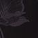 Black/Navy Vining Floral
