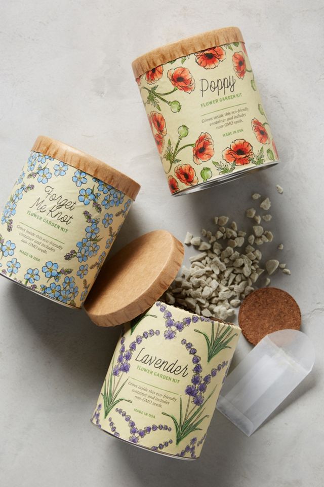 Spring Garden Seed Kit #1