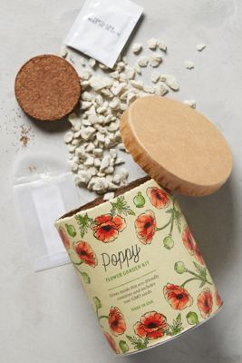 Spring Garden Seed Kit