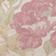 English Rose