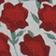 Red Floral
