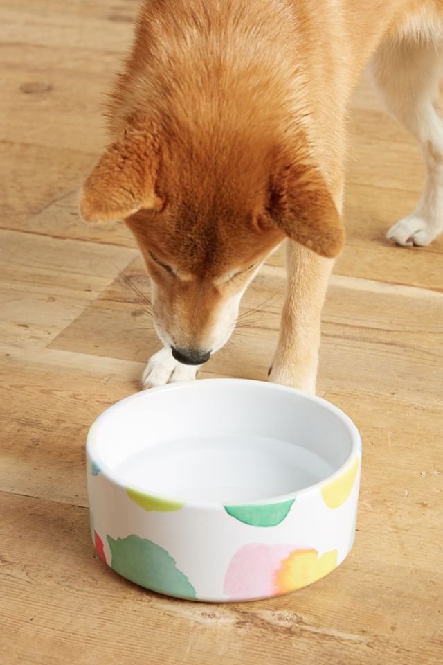 Piquant Dog Bowl #1