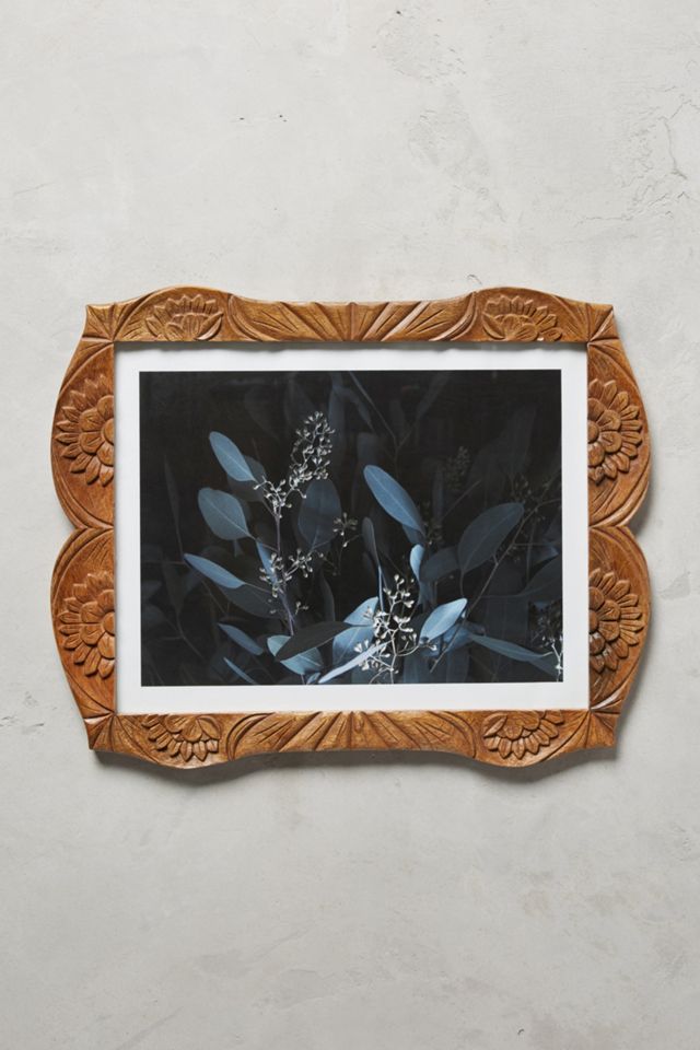 Sorena Frame #1