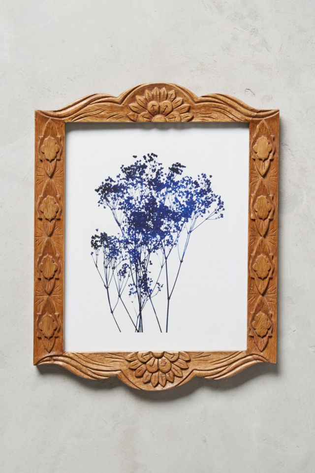 Sorena Frame #2