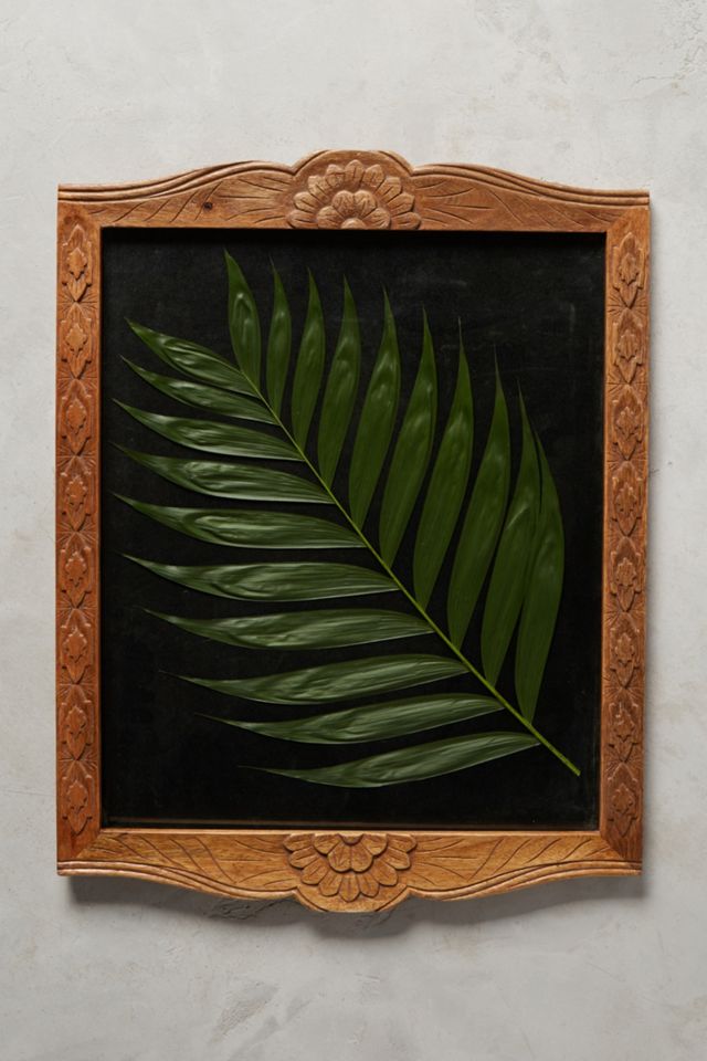 Sorena Frame #3