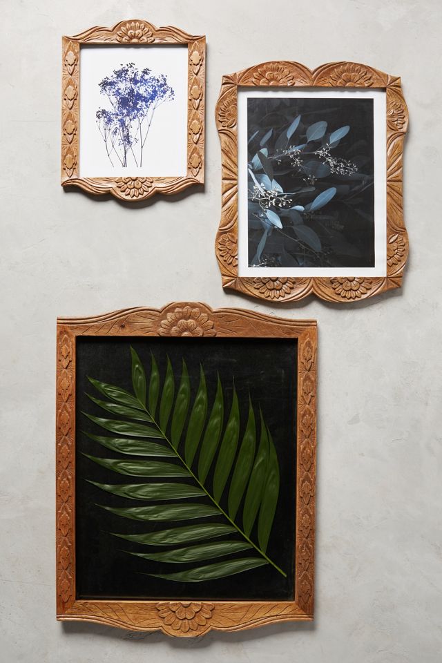 Sorena Frame