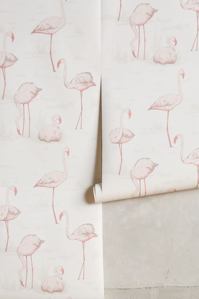 Wading Flamingos Wallpaper #1