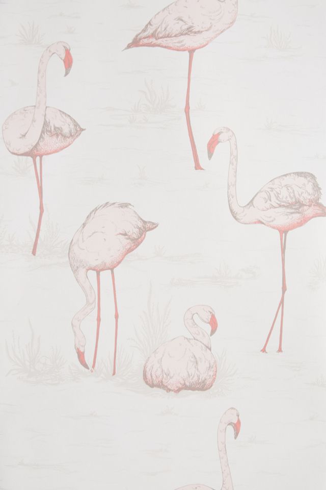 Wading Flamingos Wallpaper #2