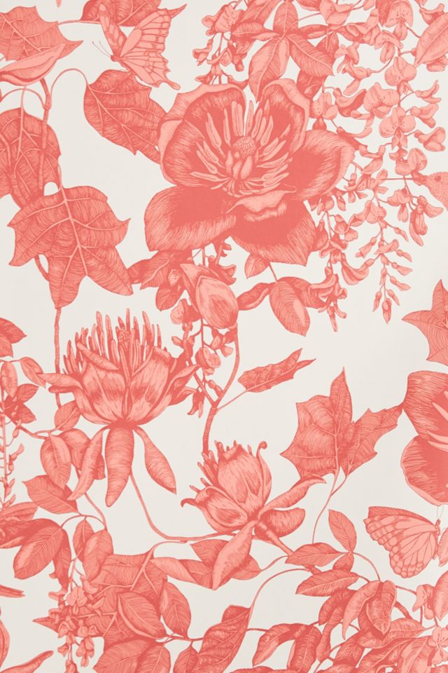Tivoli Wallpaper #2