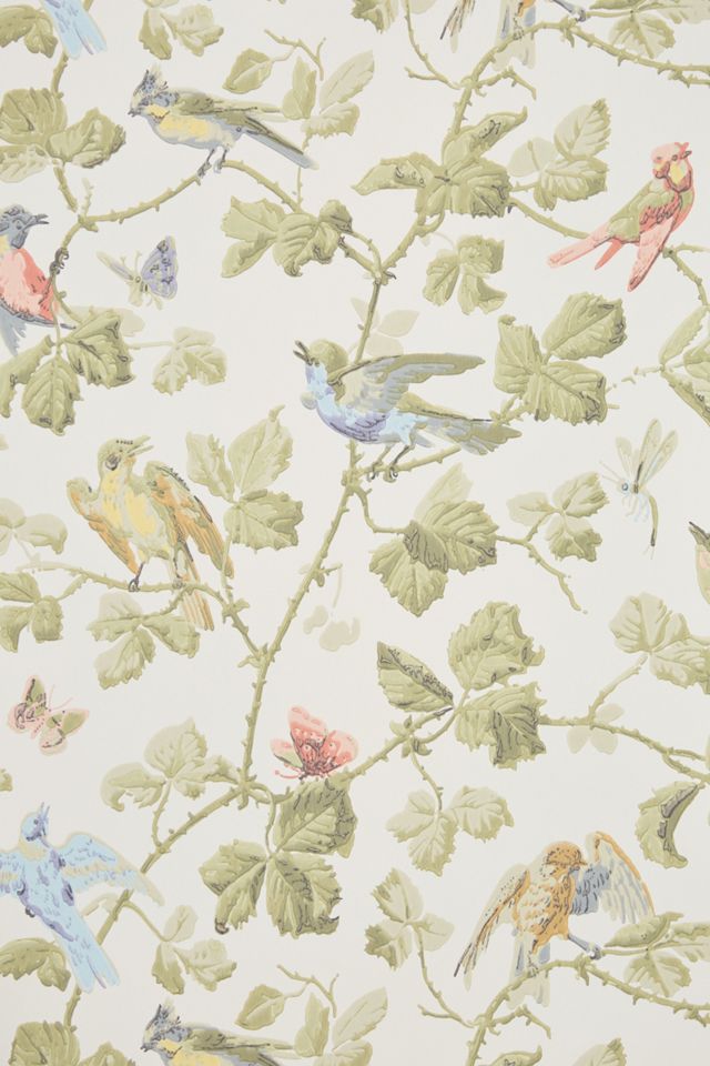 Winter Birds Wallpaper #2
