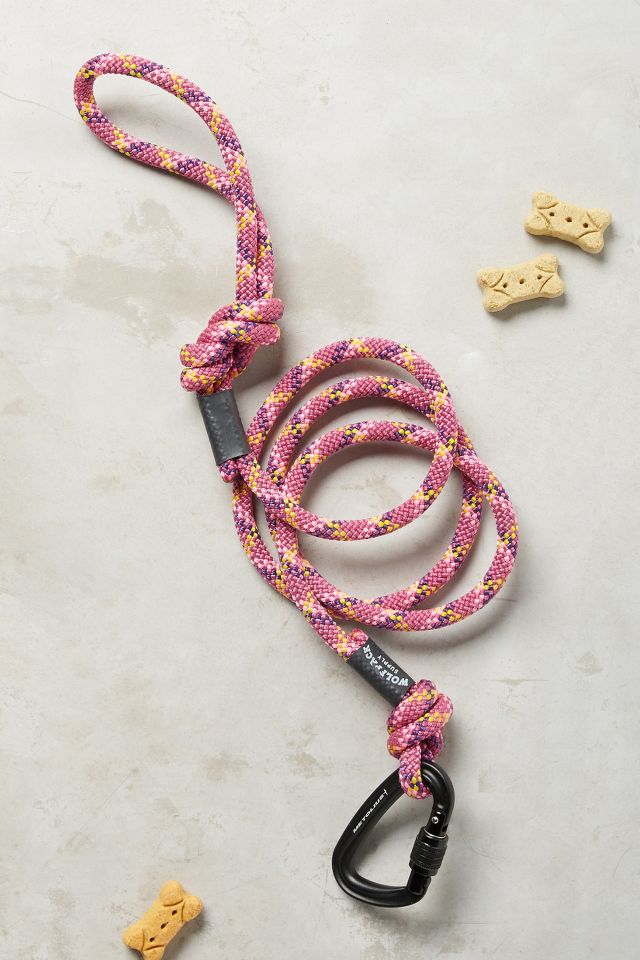 Anthropologie dog leash hotsell
