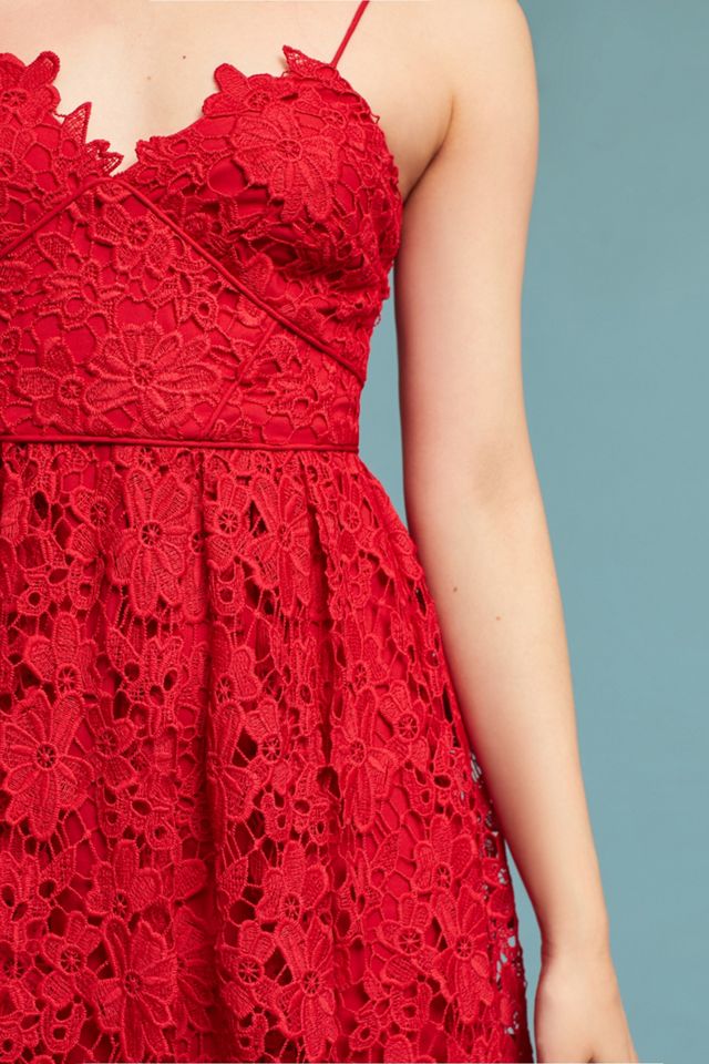 Scarlet Lace Dress #1