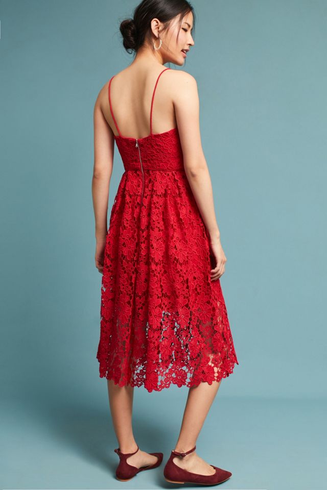 Scarlet Lace Dress #2