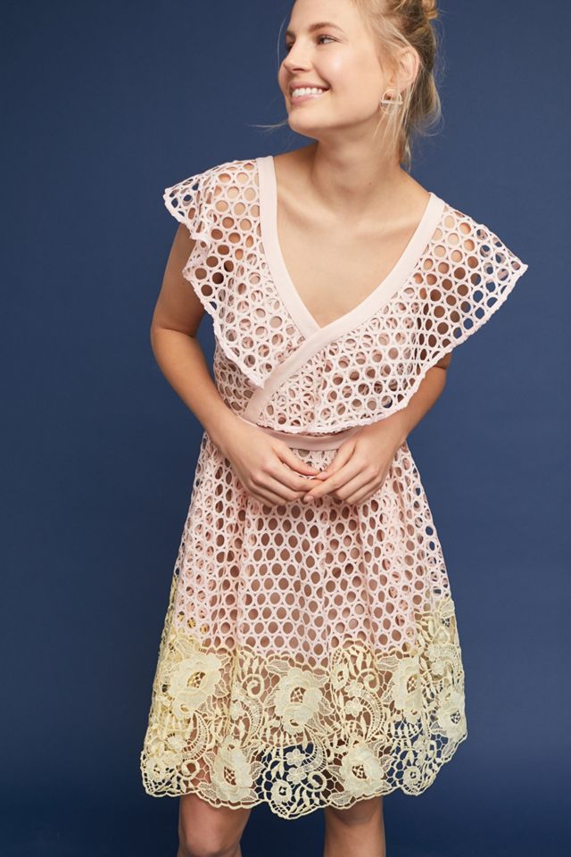 Daisy Eyelet Dress Anthropologie