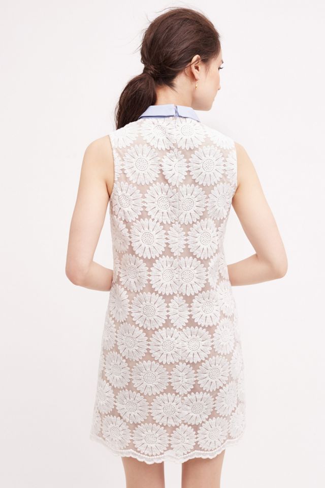 Collared Lace Tunic #1