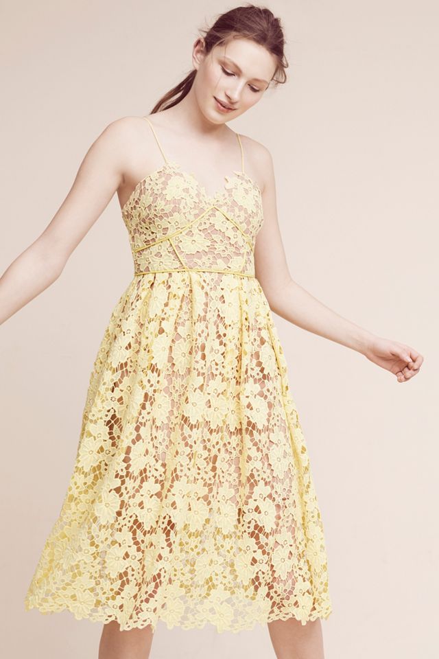Laced Blossoms Dress #1