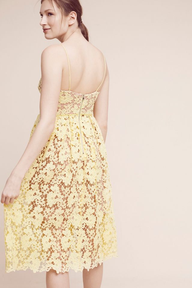 Laced Blossoms Dress #2