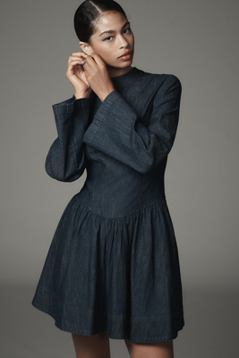 Porridge Long-Sleeve Denim Drop-Waist Mini Dress | Anthropologie