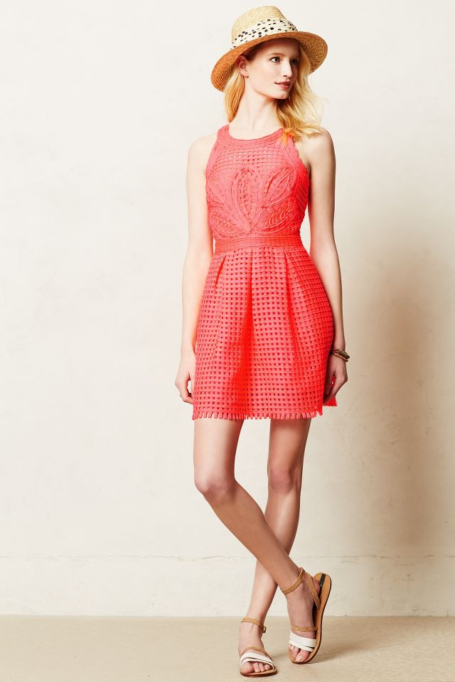 Coral embroidered clearance dress