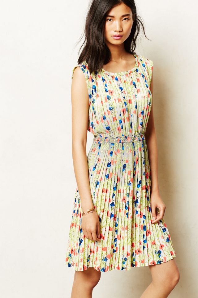 Meadowlight Dress #1