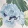Blue Floral