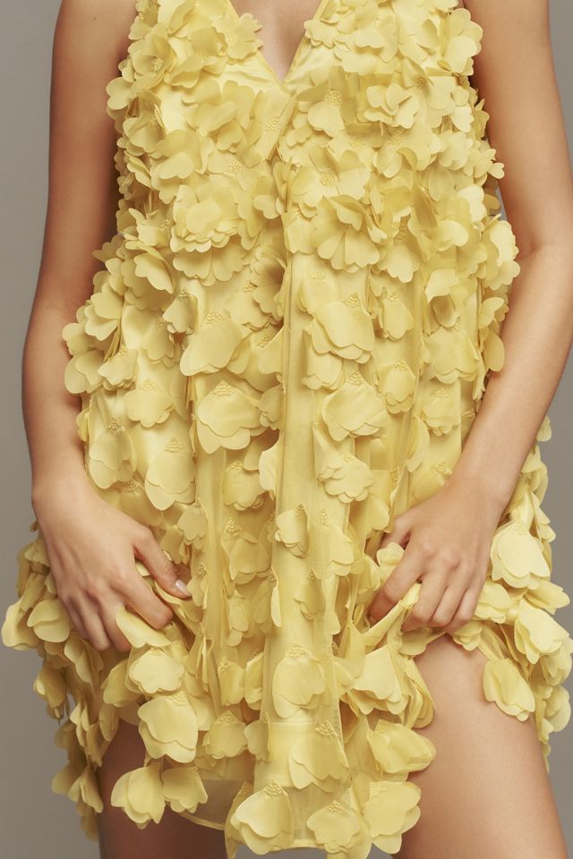 Maeve Sleeveless Floral Appliqué Mini Dress #4